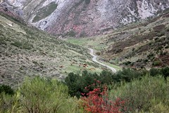  Camino de San Salvador - Etapa La Robla - Poladura de la Tercia 