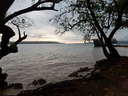 ferry landscape coast moody dusk roots shore espiritusanto luganville