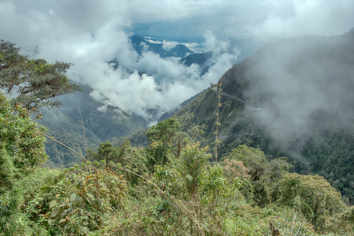 road bolivia vegetation coroico