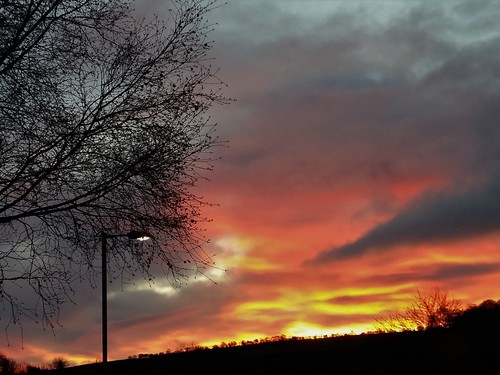 trees light sky silhouette clouds sunrise landscape dawn streetlight aberdeenshire dusk vista oldmeldrum