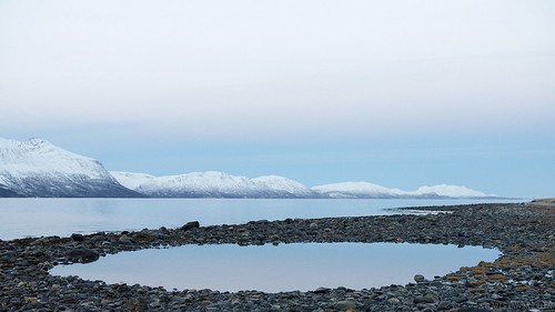 blue winter sea snow mountains cold ice water norway clouds reflections landscape puddle rocks pastel widescreen overcast pebbles fjord oru 169 troms 2015 svensby palomafaith