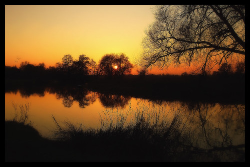 sunset river riverwey surrey wisley water sky silhouette tree nature outside orange yellow black