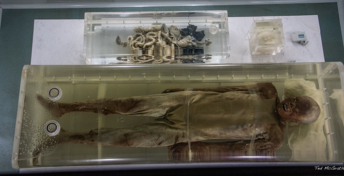 2016 china cropped jingzhou nikon nikond750 nikonfx tedmcgrath tedsphotos vignetting hantomb jingzhouchina mummy