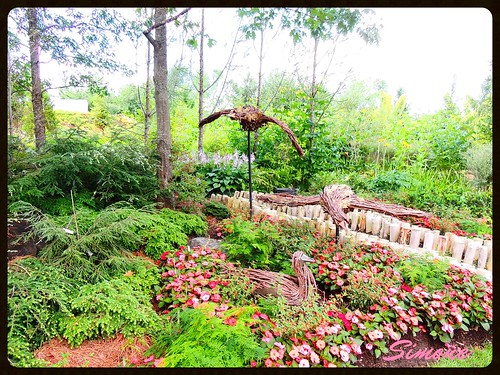 summer sculpture garden simone été branchs topiaire woodbirds herberouge oiseauenbois parcmarievictorin 20150926vacancesdété