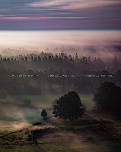 norrastångsmåla långasjö skog flygfoto dimma 4 3 kalmar sverige swe