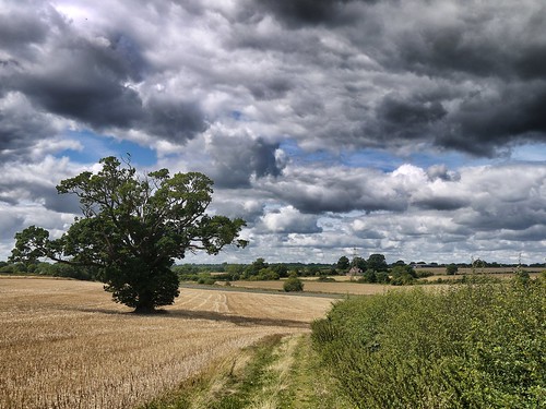 Warwickshire Countryside