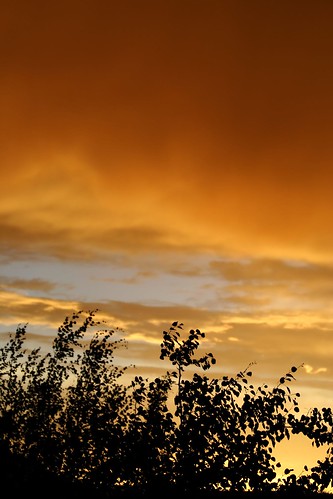 sunset orange storm tree clouds ©tylerknottgregson