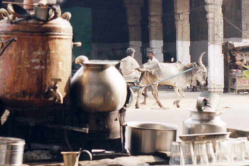 india shop tea chai tiruvannamalai tiru chaikhana