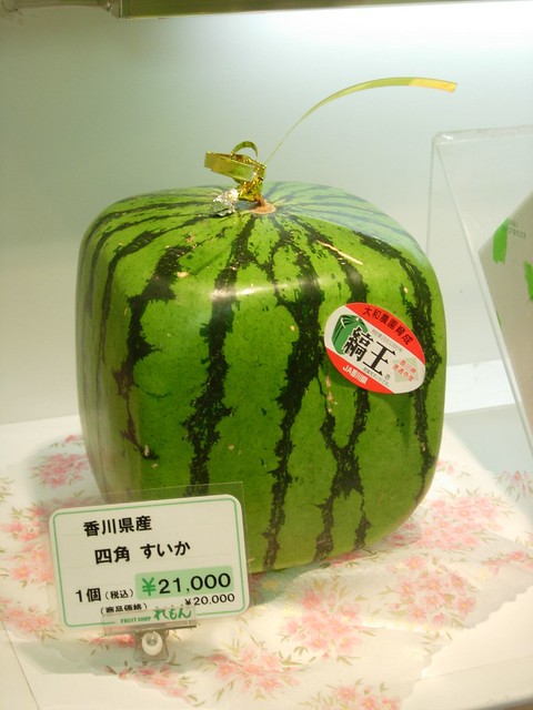 Square Watermelon!