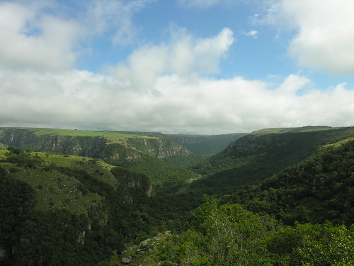 southafrica gorge oribi