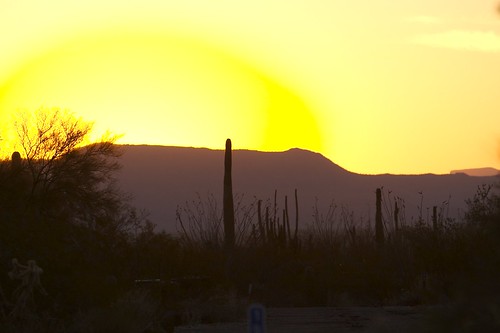 day2 cactus sunrise desert springbreak07