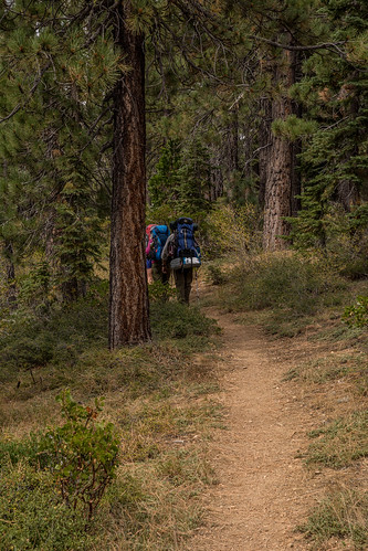backpacking pacificcresttrail