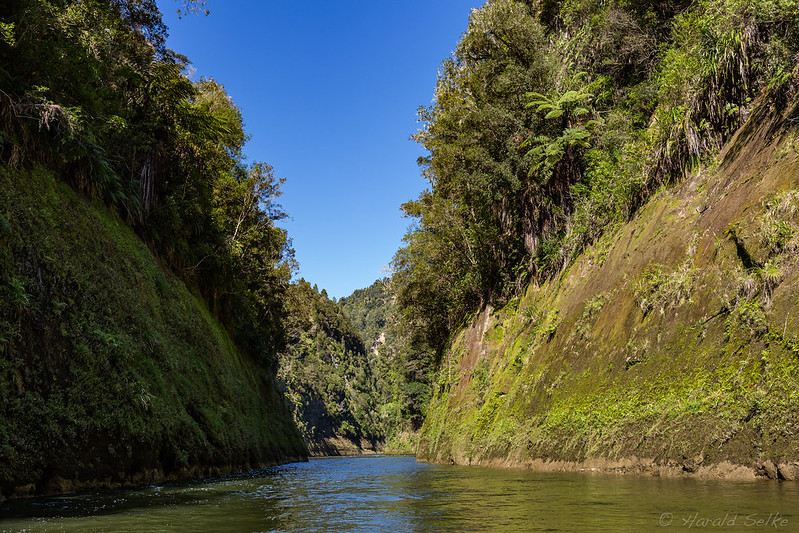 Manganuioteao River