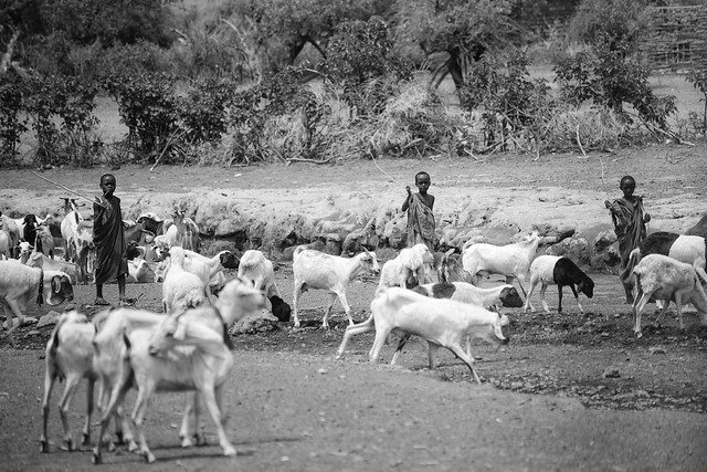 The Maasai People - Tanzania