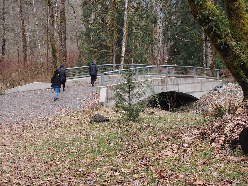 Bridge Over Christy Creek: The group in the distance had come to the park to the first time and was also curious about the geyser