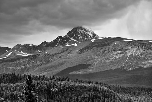 trees canada mountains nature blackwhite jasper overcast alberta day5 jaspernationalpark mountedithcavell icefieldsparkway canadianrockies glacialvalley highway93 project365 colorefexpro lookingsw mountainsindistance nikond800e mountainsoffindistance capturenx2edited hillsideoftrees cavellgroup