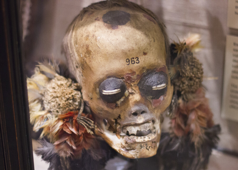 skulls death trophy skull pattern decorative shrunken head enemy pitt rivers museum oxford anthropology history culture