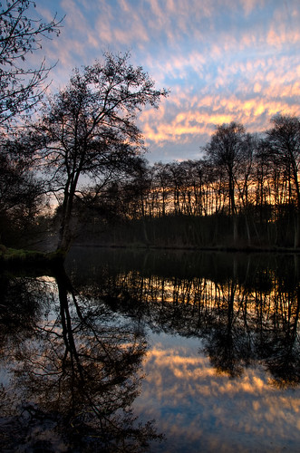 sunset cainmeadow wroxham broads norfolk nature outdoors landscape trees