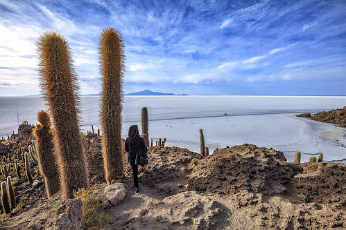 bolivia cactus island incahuasi salar de uyuni 3656 meter above dea level south america landscape sunset sku scape land salt inca