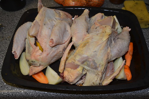 roast chicken Nov 15 1
