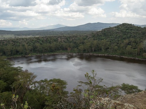africa landscape kenya craterlake naivasha lakenaivasha craterlakegamesanctuary