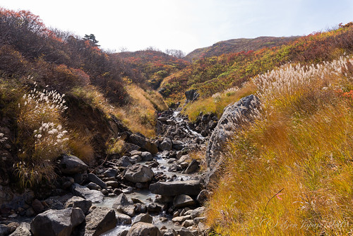 autumn mountain japan landscape iwate 日本 紅葉 秋 岩手県 風景 2015 登山 一関市 東北地方 栗駒山 nikond610