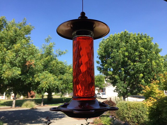 Hummingbird feeder