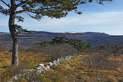 slovenia slovenija istra istria outdoor hiking lačna hill landscape pinetrees