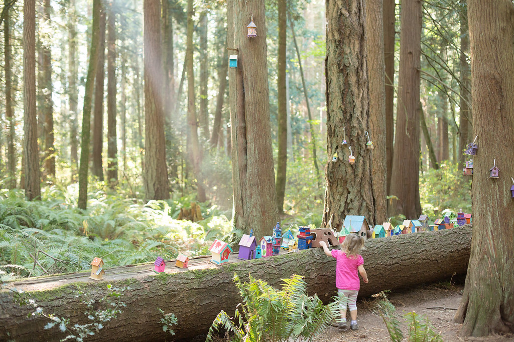 Fairy Village Redwood Park Surrey BC