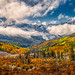 Autumn in the Sneffels Wilderness - 1st Place Published Images - William Horton
