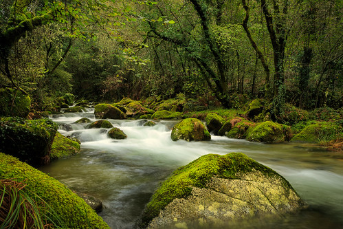 españa naturaleza green water river europa ngc paisaje galicia bosque rios vegetación covelo alén