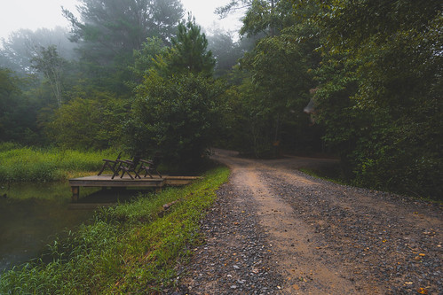 road camping trees fog dawn pond moody outdoor sony trail rokinon a6000