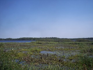 Scattered Rice Lake
