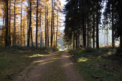 sauerland engelsberg kirchhundem ebbegebirge möhnewesterwaldweg