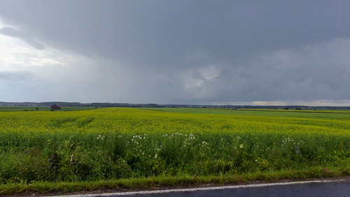 light summer sky field finland landscape geotagged cloudy july fin kauhava 2015 eteläpohjanmaa 201507 keskipohjanmaa 20150709 geo:lat=6312424232 geo:lon=2289078712 tuularinmäki varpulantie