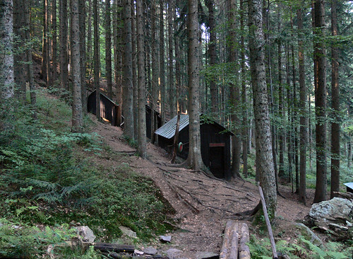 wood museum forest hospital woods war secret wwii hut medicine shack battlefield partisan pohorje jesen jpingjk