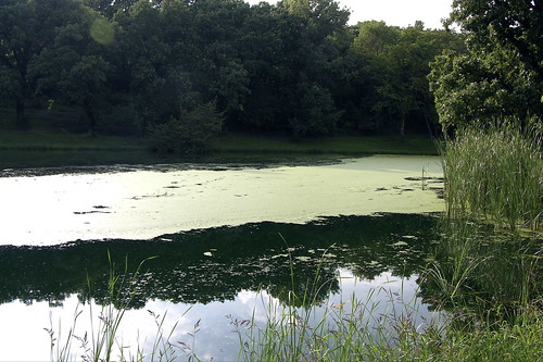 camp vacation reflection green water pond nebraska floaties platteriverstatepark