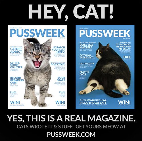 pussweek magazine