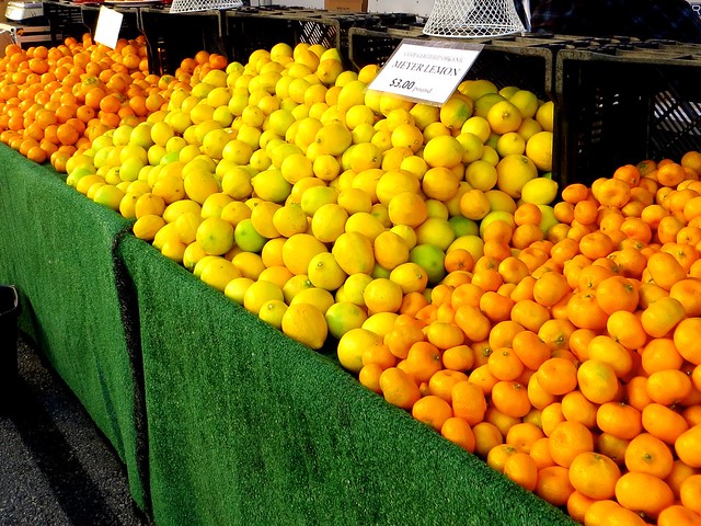 citrus season is starting