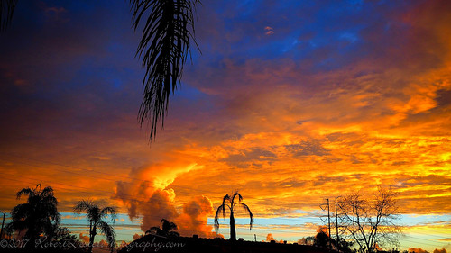 12x40 aroundthehouse clearwaterfl feb2017 fspiclrpic m1 scenes skies sunset