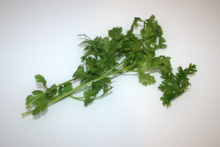 12 - Zutat Koriander / Ingredient coriander