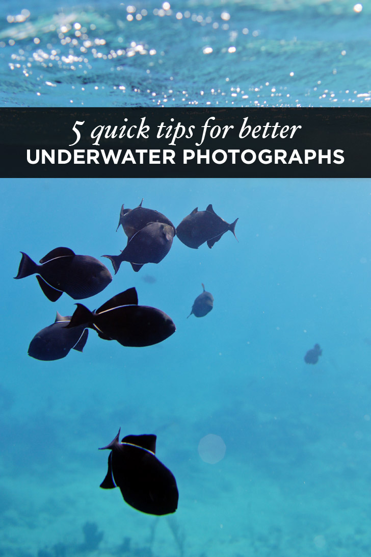 5 Quick Underwater Photography Tips for Better Travel Photos.
