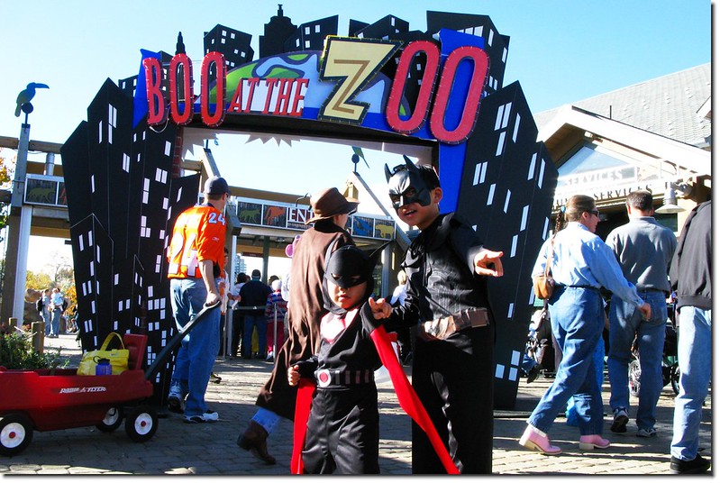 Halloween party(Denver Zoo) 2
