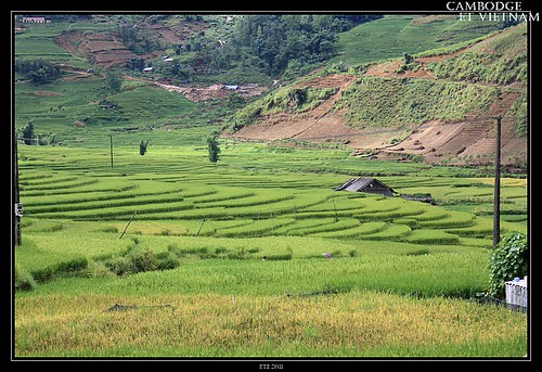 Jour 19 : 20 août 2011 : Sapa - Montagnes du Nord Vietnam