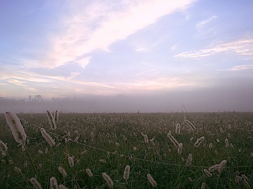 morning ohio nature colors field fog sunrise october country arboretum dew wooster 2015 secrest поле роса