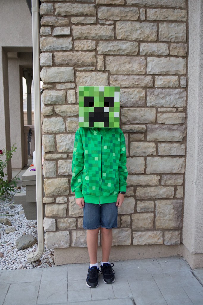 Minecraft Costume