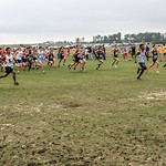SC XC State Finals 11-7-201500152