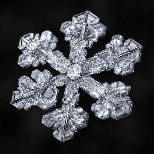 snowflake snow flake ice crystal fractal microscope 20x symmetry micro detail focusstacking science