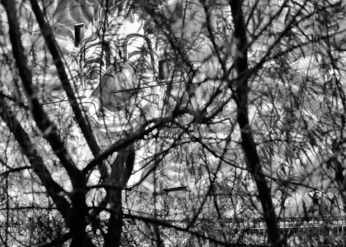 artphotography blackwhite clown face gerhardkoersgen germany 2014 discover trees streetphotography scene schwarzweiss monochrome perspective view wuppertal