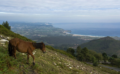 sea españa horse costa caballo coast la mar spain view asturias vista viewpoint isla mirador lastres asturies cantabrico fitu cantabric